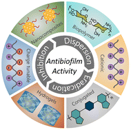Graphical abstract: Inhibition and eradication of bacterial biofilm using polymeric materials