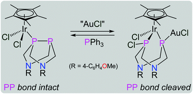 Graphical abstract: Reversible P–P bond cleavage at an iridium(iii) metal centre