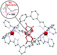 Graphical abstract: A ferric guest inside a spin crossover ferrous helicate