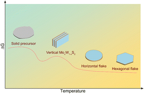 Graphical abstract: Atomic-scale mechanisms on the stepwise growth of MoxW1−xS2 into hexagonal flakes