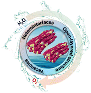 Graphical abstract: MXene-derived Ti3C2–Co–TiO2 nanoparticle arrays via cation exchange for highly efficient and stable electrocatalytic oxygen evolution
