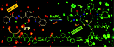 Graphical abstract: An excited state intramolecular proton transfer induced phosphate ion targeted ratiometric fluorescent switch to monitor phosphate ions in human peripheral blood mononuclear cells