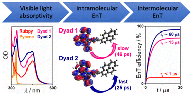 Graphical abstract: Water-soluble ruthenium complex-pyrene dyads with extended triplet lifetimes for efficient energy transfer applications