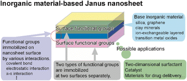 Graphical abstract: Inorganic material-based Janus nanosheets: asymmetrically functionalized 2D-inorganic nanomaterials