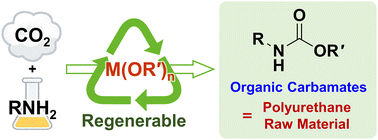 Graphical abstract: Synthesis of organic carbamates as polyurethane raw materials from CO2: the quest for metal alkoxides as regenerable reagents