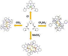 Graphical abstract: A family of mono-, di-, and tetranuclear DyIII complexes bearing the ligand 2,6-diacetylpyridine bis(picolinoylhydrazone) and exhibiting slow relaxation of magnetization