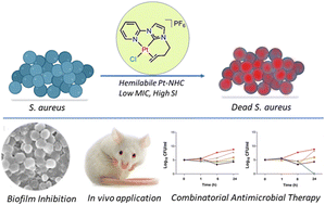 Graphical abstract: Antimicrobial efficacy of a hemilabile Pt(ii)–NHC compound against drug-resistant S. aureus and Enterococcus