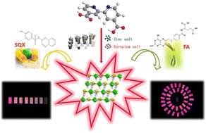 Graphical abstract: Identification of folic acid and sulfaquinoxaline using a heterometallic Zn–Eu MOF as a sensor