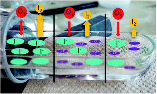 Graphical abstract: Iodine emission from the reactive uptake of ozone to simulated seawater