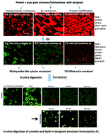Graphical abstract: In vitro digestion of designed emulsions based on milk protein and guar gum systems