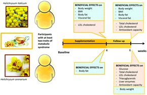 Graphical abstract: Helichrysum italicum (Roth) G. Don and Helichrysum arenarium (L.) Moench infusions in reversing the traits of metabolic syndrome: a double-blind randomized comparative trial