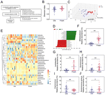 Graphical abstract: Gut indigenous Ruminococcus gnavus alleviates constipation and stress-related behaviors in mice with loperamide-induced constipation