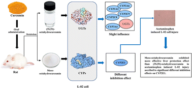 Graphical abstract: Retracted Article: Stereoisomers of octahydrocurcumin, the hydrogenated metabolites of curcumin, display stereoselective activity on the CYP2E1 enzyme in L-02 cells