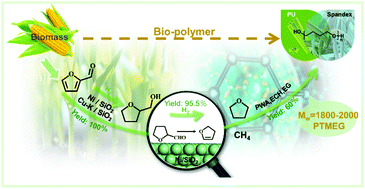 Graphical abstract: Sustainable synthesis of bio-based PTMEG and methane beyond the Reppe method