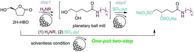 Graphical abstract: Mechanochemical synthesis of (4S)-N-alkyl-4,5-bis-sulfooxypentanamide via a one-pot sequential aminolysis-sulfation reaction of (S)-γ-hydroxymethyl-γ-butyrolactone (2H-HBO)