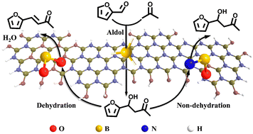 Graphical abstract: Enhancing β-hydroxy ketone selectivity in the aldol condensation of furfural and acetone over N–B–O sites in calcined boron nitride