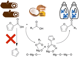 Graphical abstract: Highly selective cross ketonization of renewable acids over magnesium oxide