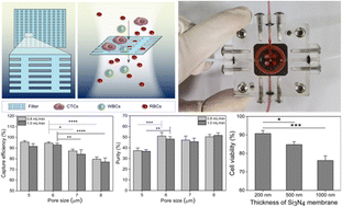 Graphical abstract: Ultrathin silicon nitride membrane with slit-shaped pores for high-performance separation of circulating tumor cells