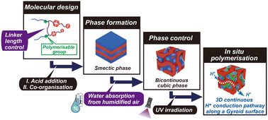 Graphical abstract: Molecular design of a series of gemini-type zwitterionic amphiphiles with various linker lengths: control of their self-organisation for developing gyroid nanostructured proton conductive membranes