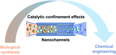 Graphical abstract: Catalytic confinement effects in nanochannels: from biological synthesis to chemical engineering
