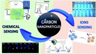 Graphical abstract: Fluorescence sensing by carbon nanoparticles
