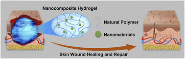 Graphical abstract: Engineering functional natural polymer-based nanocomposite hydrogels for wound healing