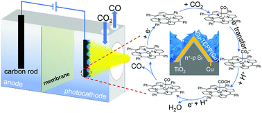 Graphical abstract: Cupric porphyrin frameworks on multi-junction silicon photocathodes to expedite the kinetics of CO2 turnover