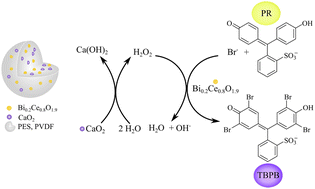 Graphical abstract: In situ generation of H2O2 using CaO2 as peroxide storage depot for haloperoxidase mimicry with surface-tailored Bi-doped mesoporous CeO2 nanozymes