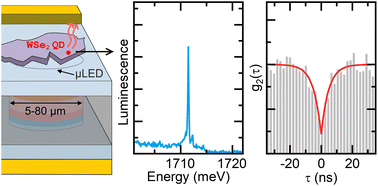 Graphical abstract: Hybrid electroluminescent devices composed of (In,Ga)N micro-LEDs and monolayers of transition metal dichalcogenides