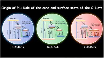 Graphical abstract: Ultrafast insights into full-colour light-emitting C-Dots