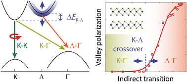 Graphical abstract: Impact of indirect transitions on valley polarization in WS2 and WSe2