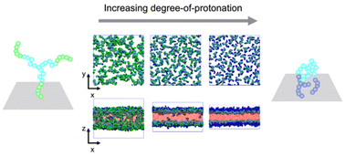 Graphical abstract: Assembly of polyelectrolyte star block copolymers at the oil–water interface