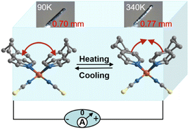 Graphical abstract: Giant thermal expansion associated with a macroscopic polarization change in a single crystal of a Zn(ii) complex