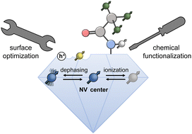 Graphical abstract: Diamond surface engineering for molecular sensing with nitrogen—vacancy centers