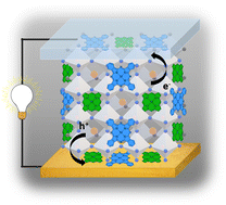 Graphical abstract: Phthalocyanines, porphyrins and other porphyrinoids as components of perovskite solar cells