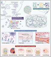 Graphical abstract: Exosomes encapsulated in hydrogels for effective central nervous system drug delivery