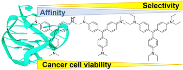 Graphical abstract: Simple and fast screening for structure-selective G-quadruplex ligands