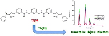 Graphical abstract: Formation of lanthanide luminescent di-metallic helicates in solution using a bis-tridentate (1,2,3-triazol-4-yl)-picolinamide (tzpa) ligand