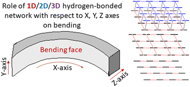 Graphical abstract: The role of dimensionality and direction of hydrogen-bonded networks in the mechanical flexibility of organic crystals