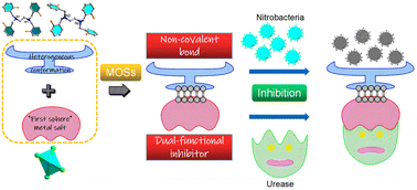 Graphical abstract: Fabrication of metal–organic salts with heterogeneous conformations of a ligand as dual-functional urease and nitrification inhibitors