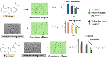 Graphical abstract: Polystyrene nanoplastics alter the ecotoxicological effects of diclofenac on freshwater microalgae Scenedesmus obliquus