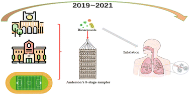 Graphical abstract: Disruption and recovery of outdoor bioaerosols before, during, and after the COVID-19 outbreak at a campus in Central China: pathogen composition, particle size distribution, influencing factors, and exposure risk