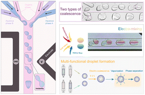 Graphical abstract: AC-electric-field-controlled multi-component droplet coalescence at microscale