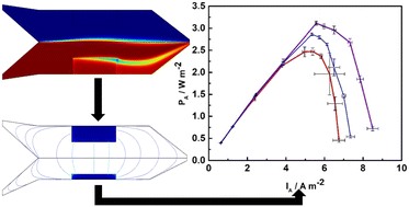 Graphical abstract: Microfluidic membraneless microbial fuel cells: new protocols for record power densities