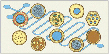 Graphical abstract: Microfluidic synthesis of lipid-based nanoparticles for drug delivery: recent advances and opportunities