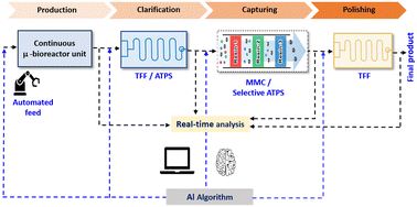 Graphical abstract: Toward microfluidic continuous-flow and intelligent downstream processing of biopharmaceuticals