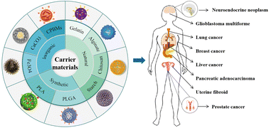 Graphical abstract: Application of biodegradable microsphere injections: an anticancer perspective