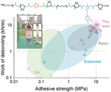 Graphical abstract: A strain-reinforcing elastomer adhesive with superior adhesive strength and toughness