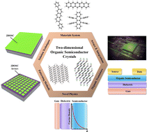 Graphical abstract: Novel solution-processed 2D organic semiconductor crystals for high-performance OFETs