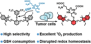 Graphical abstract: Engineering of a GSH activatable photosensitizer for enhanced photodynamic therapy through disrupting redox homeostasis